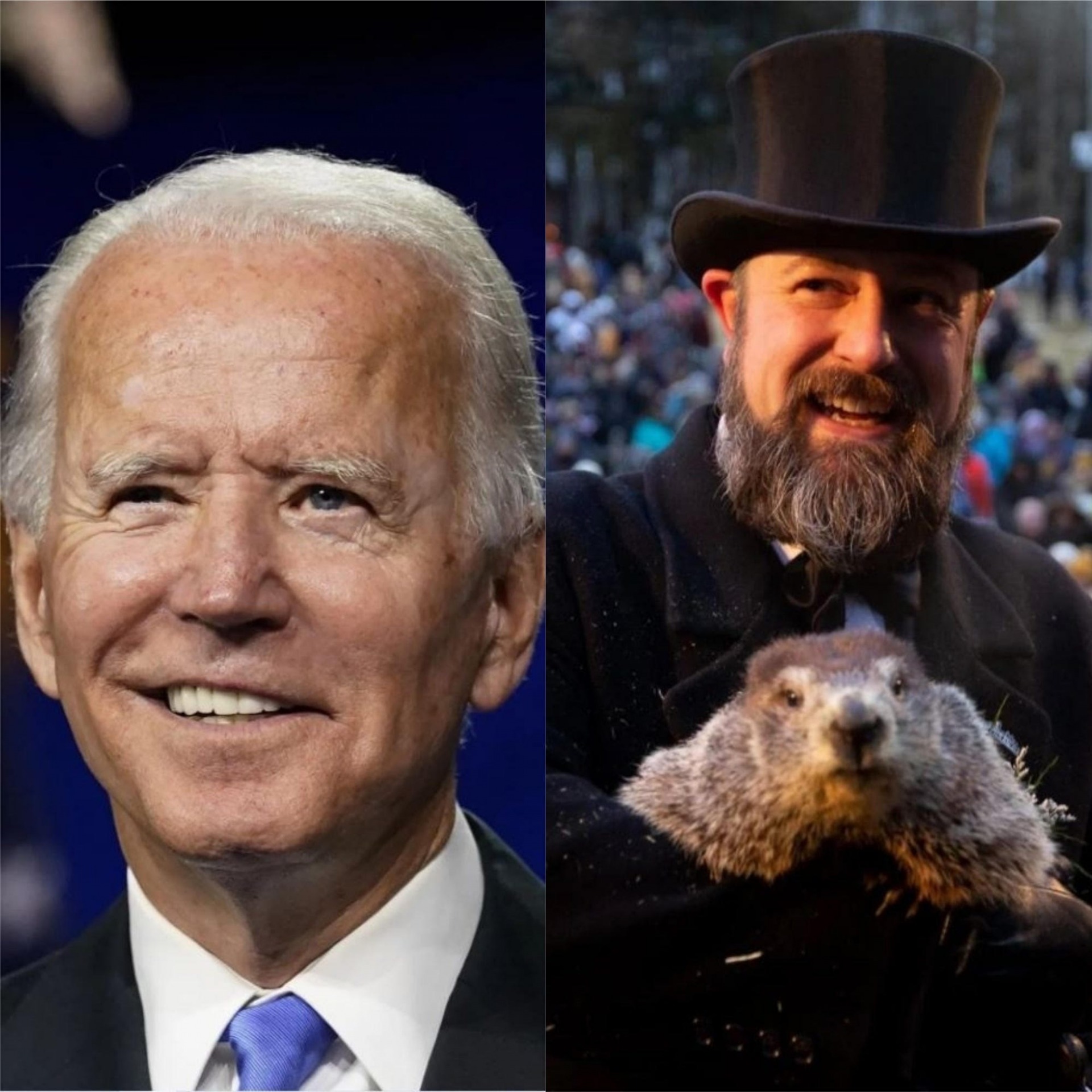 High Quality Punxsutawney Joe Blank Meme Template