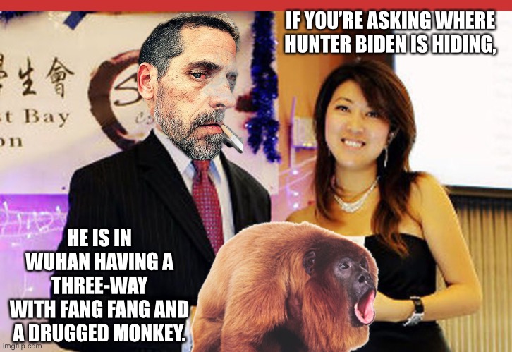 Hunter Biden really loves China…and monkeys. | IF YOU’RE ASKING WHERE
HUNTER BIDEN IS HIDING, HE IS IN WUHAN HAVING A THREE-WAY
WITH FANG FANG AND A DRUGGED MONKEY. | image tagged in memes,hunter biden,fang fang,china,monkey,drugs | made w/ Imgflip meme maker