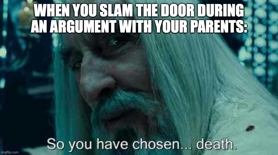 he has chosen | WHEN YOU SLAM THE DOOR DURING AN ARGUMENT WITH YOUR PARENTS: | image tagged in so you have chosen death | made w/ Imgflip meme maker