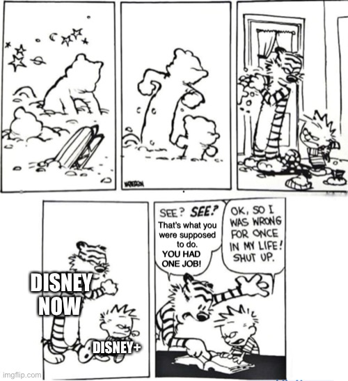 Disney+ or Disney now? | DISNEY NOW; DISNEY+ | image tagged in you had one job calvin and hobbes | made w/ Imgflip meme maker