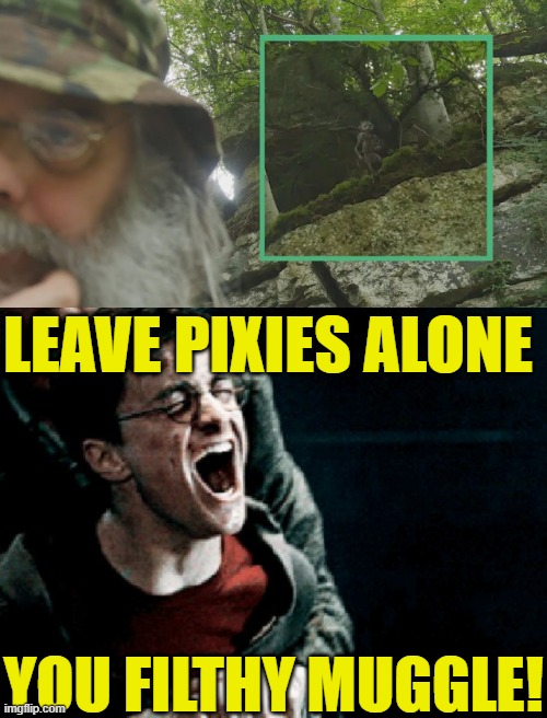 Erwin Saunders harasses fairies on YouTube | LEAVE PIXIES ALONE; YOU FILTHY MUGGLE! | image tagged in youtube,memes,harry potter,leave britney alone | made w/ Imgflip meme maker