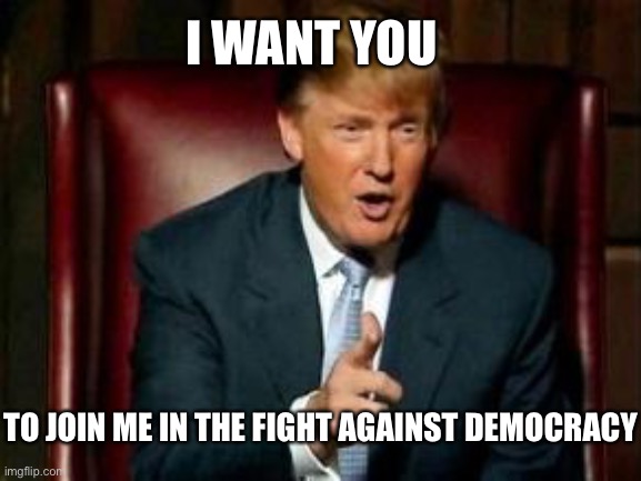 Donald Trump | TO JOIN ME IN THE FIGHT AGAINST DEMOCRACY I WANT YOU | image tagged in donald trump | made w/ Imgflip meme maker