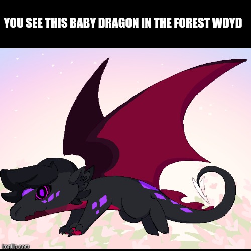 HIs name is vamp btw | YOU SEE THIS BABY DRAGON IN THE FOREST WDYD | made w/ Imgflip meme maker