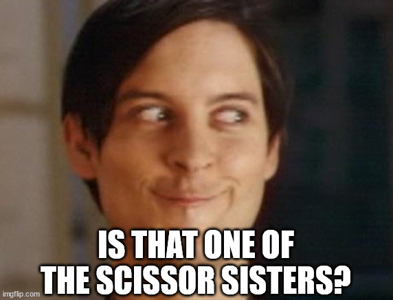 Spiderman Peter Parker Meme | IS THAT ONE OF THE SCISSOR SISTERS? | image tagged in memes,spiderman peter parker | made w/ Imgflip meme maker