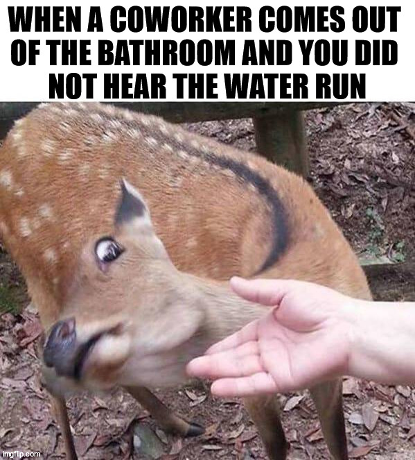 WHEN A COWORKER COMES OUT 
OF THE BATHROOM AND YOU DID 
NOT HEAR THE WATER RUN | image tagged in bathroom | made w/ Imgflip meme maker