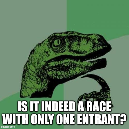 Philosoraptor Meme | IS IT INDEED A RACE WITH ONLY ONE ENTRANT? | image tagged in memes,philosoraptor | made w/ Imgflip meme maker