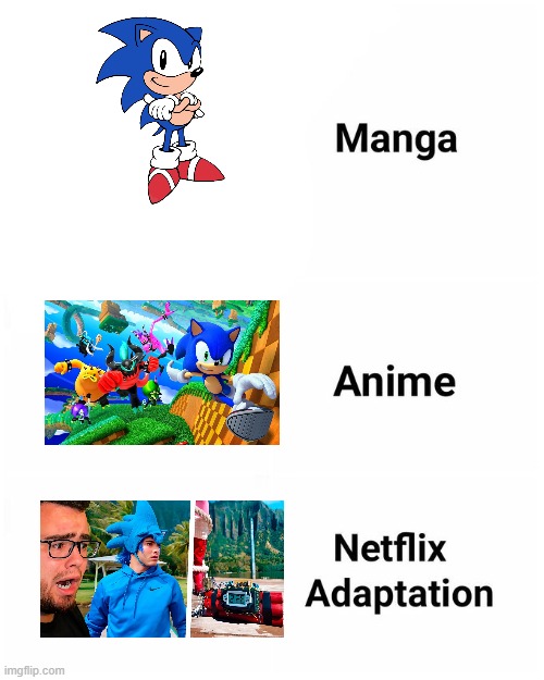 If Sonic The Hedgehog in real life | image tagged in netflix adaptation,memes | made w/ Imgflip meme maker
