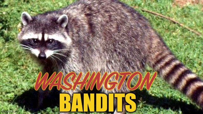 My Submission for the Washington Football Team |  WASHINGTON; BANDITS | image tagged in washington dc,nfl memes,commanders,nfl football,trash panda,bandit | made w/ Imgflip meme maker