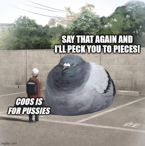 Beeg Birb | SAY THAT AGAIN AND I'LL PECK YOU TO PIECES! COOS IS FOR PUSSIES | image tagged in beeg birb | made w/ Imgflip meme maker