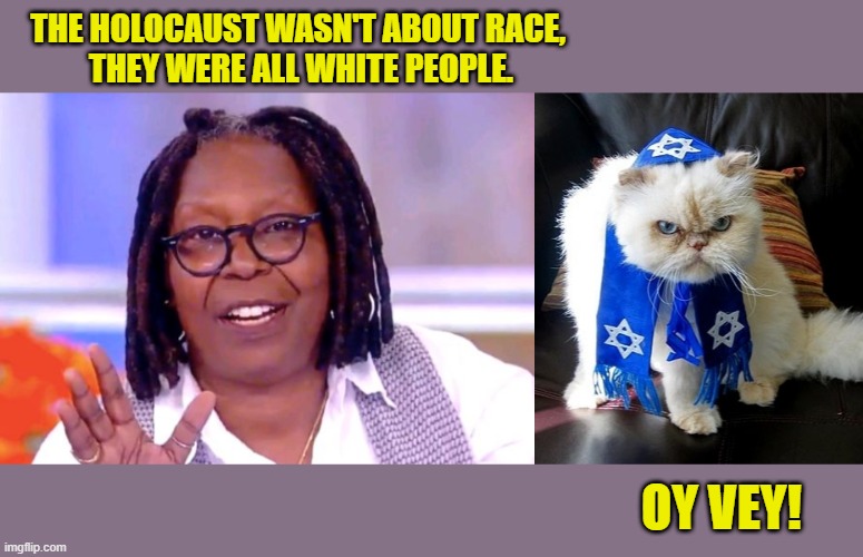 If a Republican said that, wouldn't they be fired instantly? | THE HOLOCAUST WASN'T ABOUT RACE, 
THEY WERE ALL WHITE PEOPLE. OY VEY! | image tagged in whoopi goldberg,jewish cat,holocaust,racism,ignorance | made w/ Imgflip meme maker