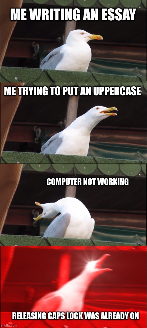 tough | ME WRITING AN ESSAY; ME TRYING TO PUT AN UPPERCASE; COMPUTER NOT WORKING; RELEASING CAPS LOCK WAS ALREADY ON | image tagged in memes,inhaling seagull | made w/ Imgflip meme maker