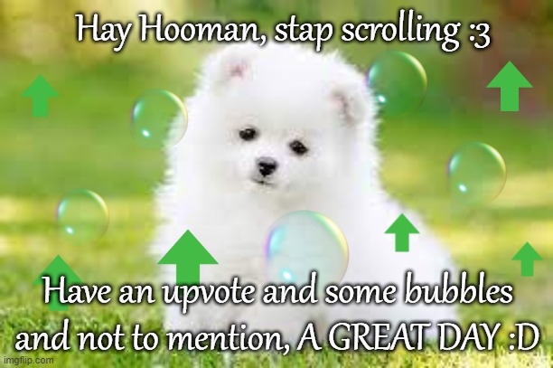 Make sure to comment down bellow so i can actually upvote something- | Hay Hooman, stap scrolling :3; Have an upvote and some bubbles and not to mention, A GREAT DAY :D | image tagged in got bored so i made this,hol up,why you reading this-,i got bored okay,so dont call me an upvote begger,cute doggo | made w/ Imgflip meme maker