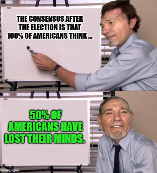 50% of Americans | THE CONSENSUS AFTER THE ELECTION IS THAT 100% OF AMERICANS THINK ... 50% OF AMERICANS HAVE LOST THEIR MINDS. | image tagged in lew,lost their minds | made w/ Imgflip meme maker