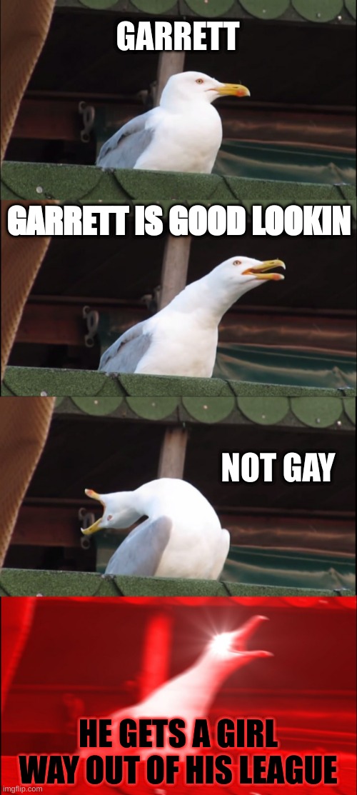 Inhaling Seagull | GARRETT; GARRETT IS GOOD LOOKIN; NOT GAY; HE GETS A GIRL WAY OUT OF HIS LEAGUE | image tagged in memes,inhaling seagull | made w/ Imgflip meme maker