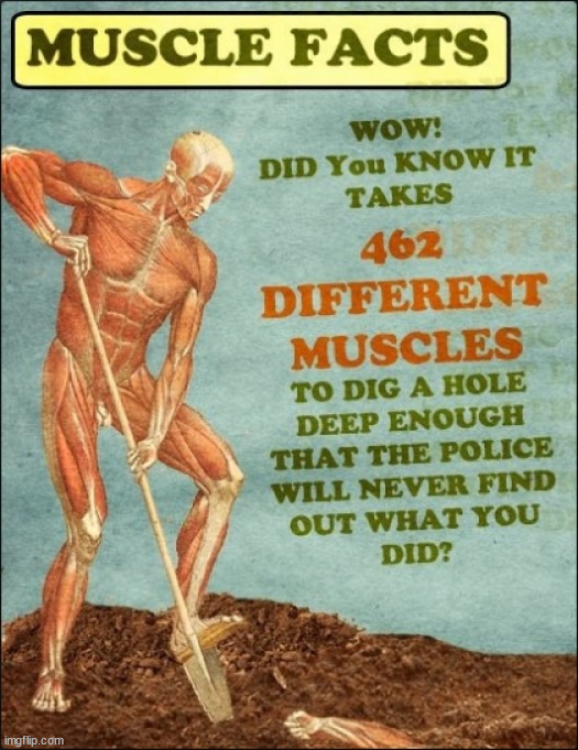 image tagged in dark humor | made w/ Imgflip meme maker