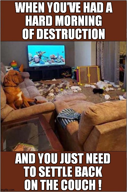 Dog Admires His Work ! | WHEN YOU'VE HAD A
HARD MORNING OF DESTRUCTION; AND YOU JUST NEED
TO SETTLE BACK
ON THE COUCH ! | image tagged in dogs,destruction,couch | made w/ Imgflip meme maker