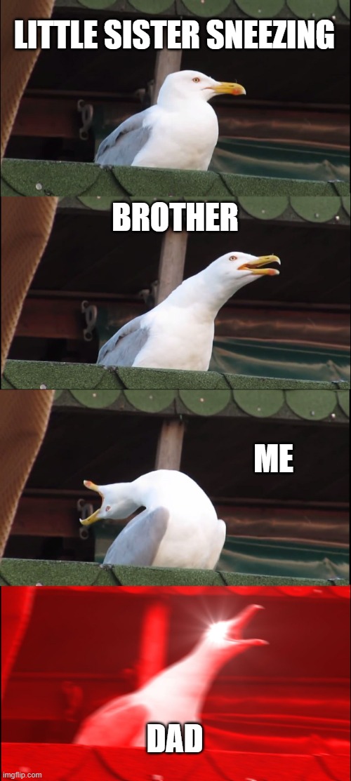 Inhaling Seagull Meme | LITTLE SISTER SNEEZING; BROTHER; ME; DAD | image tagged in memes,inhaling seagull | made w/ Imgflip meme maker