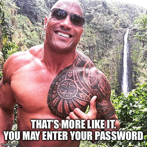 Dwayne Johnson | THAT’S MORE LIKE IT. YOU MAY ENTER YOUR PASSWORD | image tagged in dwayne johnson | made w/ Imgflip meme maker