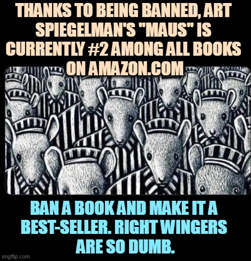 The book is selling so fast, Amazon is temporarily out of stock. More copies coming soon. | THANKS TO BEING BANNED, ART 
SPIEGELMAN'S "MAUS" IS 
CURRENTLY #2 AMONG ALL BOOKS 
ON AMAZON.COM; BAN A BOOK AND MAKE IT A 
BEST-SELLER. RIGHT WINGERS 
ARE SO DUMB. | image tagged in antisemitism,anti-semitism,neo-nazis,trump,fools | made w/ Imgflip meme maker