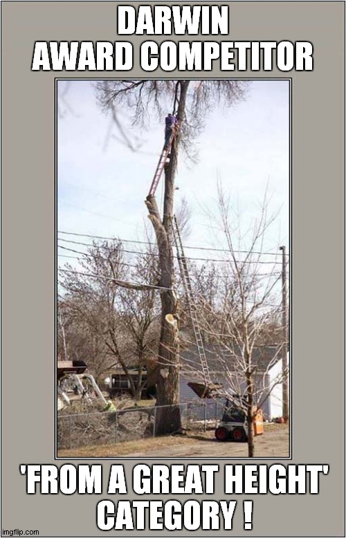 What Do We Have Here ? | DARWIN AWARD COMPETITOR; 'FROM A GREAT HEIGHT'
CATEGORY ! | image tagged in darwin awards,competition,dark humour | made w/ Imgflip meme maker