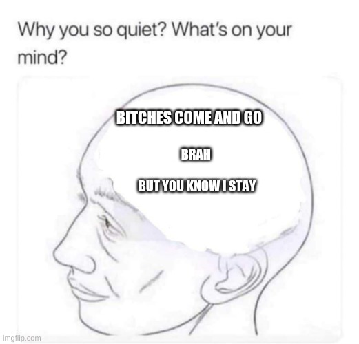 What's on your mind? | BITCHES COME AND GO; BRAH 
 
BUT YOU KNOW I STAY | image tagged in what's on your mind | made w/ Imgflip meme maker