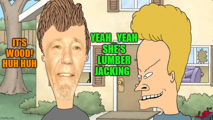 IT'S WOOD!
HUH HUH YEAH_YEAH SHE'S LUMBER JACKING | image tagged in lewvis and butthead | made w/ Imgflip meme maker