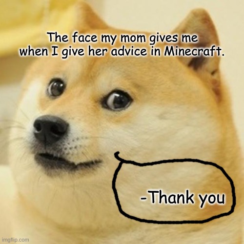 I don't Know what to call this. | The face my mom gives me when I give her advice in Minecraft. -Thank you | image tagged in memes,doge | made w/ Imgflip meme maker