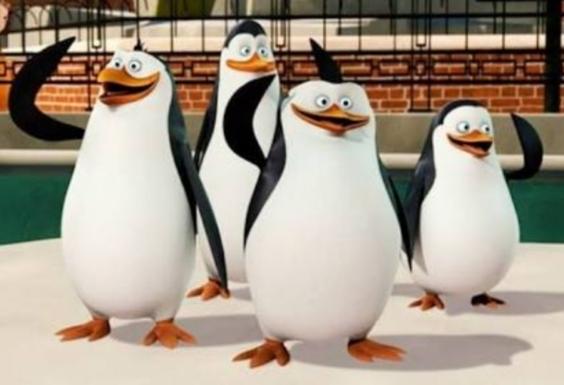 magadascar penguins Blank Meme Template