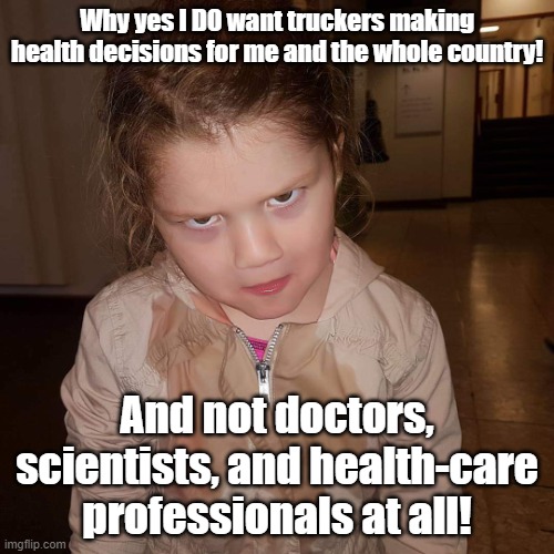 Freedom | Why yes I DO want truckers making health decisions for me and the whole country! And not doctors, scientists, and health-care professionals at all! | image tagged in what do you mean,health,freedom,ottawa,truckers | made w/ Imgflip meme maker