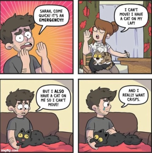image tagged in comics | made w/ Imgflip meme maker