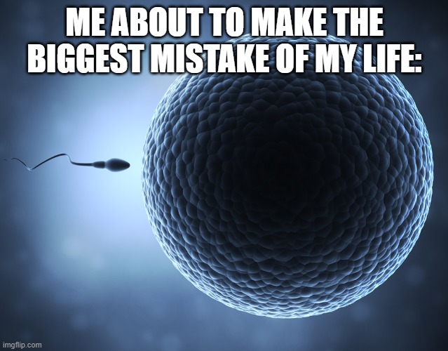 Sperm and Egg | ME ABOUT TO MAKE THE BIGGEST MISTAKE OF MY LIFE: | image tagged in sperm and egg,BruhMoments | made w/ Imgflip meme maker