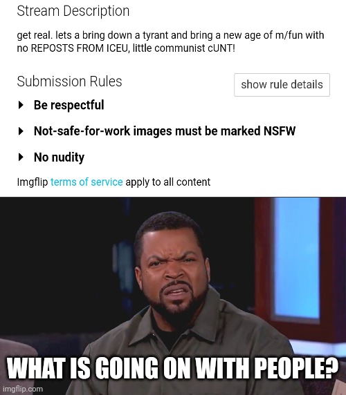 Why people can't stop making stand on users? Can anyone tell me? (Link in comments) | WHAT IS GOING ON WITH PEOPLE? | image tagged in really ice cube | made w/ Imgflip meme maker