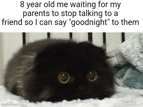 Relatable? | 8 year old me waiting for my parents to stop talking to a friend so I can say "goodnight" to them | image tagged in memes,funny,funny memes,cats,childhood,relatable | made w/ Imgflip meme maker