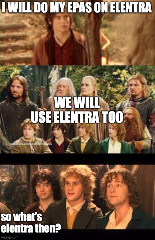 EPAs on Elentra | I WILL DO MY EPAS ON ELENTRA; WE WILL USE ELENTRA TOO; so what’s elentra then? | image tagged in frodo i will take the ring | made w/ Imgflip meme maker