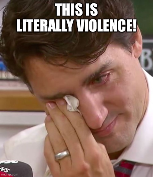 Justin Trudeau Crying | THIS IS LITERALLY VIOLENCE! | image tagged in justin trudeau crying | made w/ Imgflip meme maker