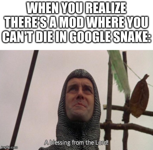 A blessing from the lord | WHEN YOU REALIZE THERE'S A MOD WHERE YOU CAN'T DIE IN GOOGLE SNAKE: | image tagged in a blessing from the lord,memes,google,snake | made w/ Imgflip meme maker