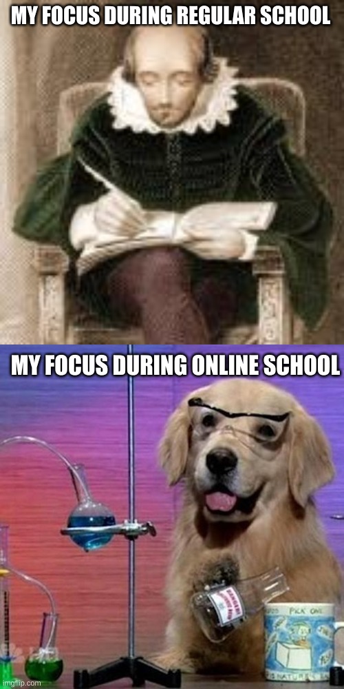 focus |  MY FOCUS DURING REGULAR SCHOOL; MY FOCUS DURING ONLINE SCHOOL | image tagged in memes,i have no idea what i am doing dog | made w/ Imgflip meme maker