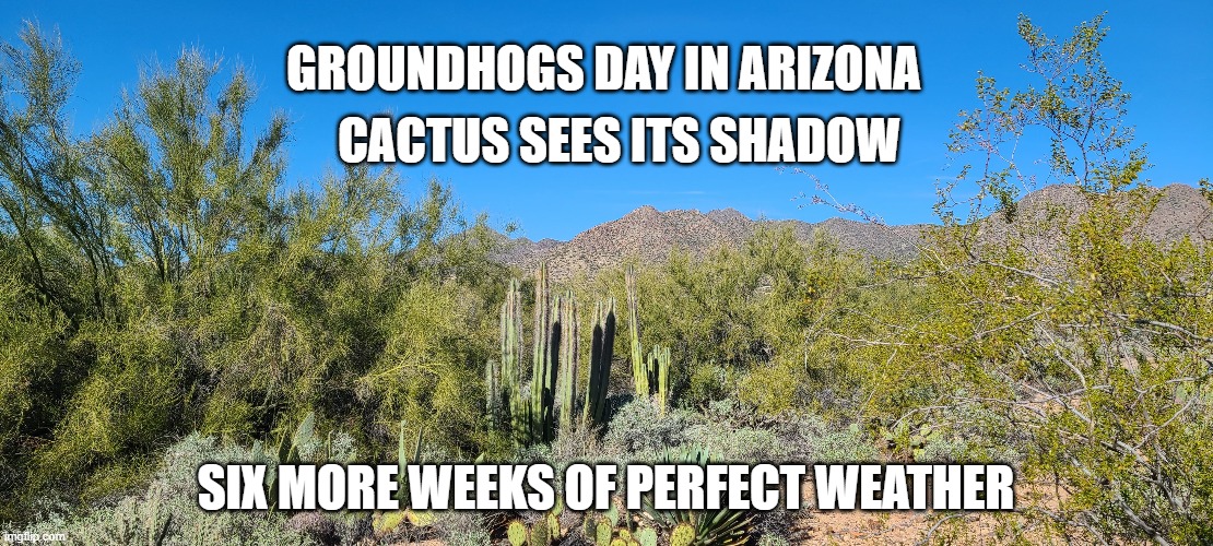 Groundhogs Day |  GROUNDHOGS DAY IN ARIZONA; CACTUS SEES ITS SHADOW; SIX MORE WEEKS OF PERFECT WEATHER | image tagged in arizona,warm weather | made w/ Imgflip meme maker