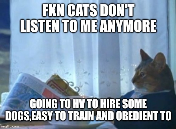 I Should Buy A Boat Cat | FKN CATS DON'T LISTEN TO ME ANYMORE; GOING TO HV TO HIRE SOME DOGS,EASY TO TRAIN AND OBEDIENT TO | image tagged in memes,i should buy a boat cat | made w/ Imgflip meme maker