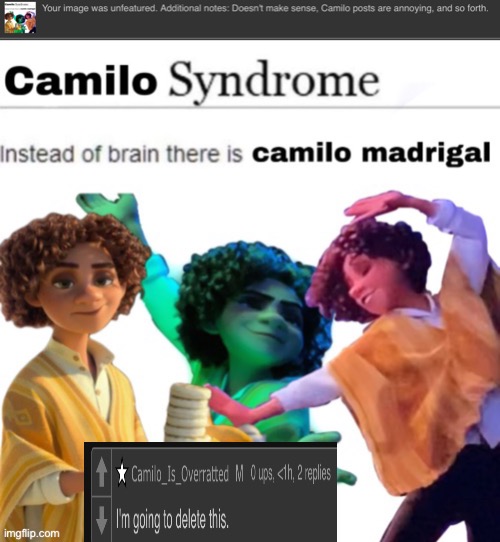 Mod deleting excess Camilo content to "clean up". | made w/ Imgflip meme maker