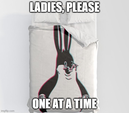 Ladies when the Big Chungus Bed | LADIES, PLEASE; ONE AT A TIME | image tagged in big chungus,ladies please,hahahah big chungus is so funnnnnyyyyyy | made w/ Imgflip meme maker