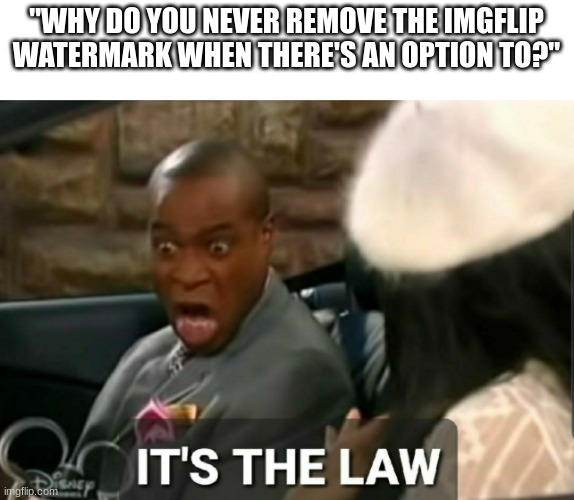 ITS THE LAW | "WHY DO YOU NEVER REMOVE THE IMGFLIP
WATERMARK WHEN THERE'S AN OPTION TO?" | image tagged in it's the law,memes,imgflip | made w/ Imgflip meme maker