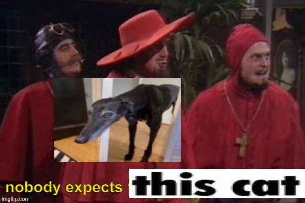 Nobody expects the spanish inquisition! (text) | image tagged in nobody expects the spanish inquisition text | made w/ Imgflip meme maker