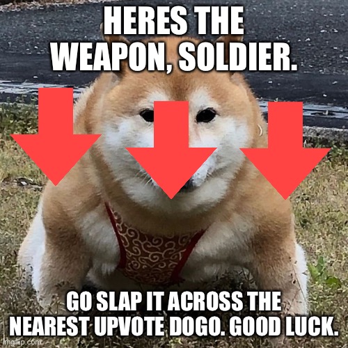 I declare war | HERES THE WEAPON, SOLDIER. GO SLAP IT ACROSS THE NEAREST UPVOTE DOGO. GOOD LUCK. | image tagged in memes,funny memes,funny,upvote begging,upvote dogo,meme man stronk | made w/ Imgflip meme maker