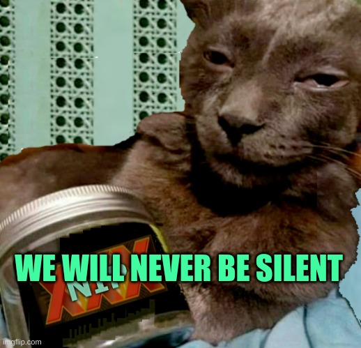 WE WILL NEVER BE SILENT | image tagged in shiposta 4 lyfe | made w/ Imgflip meme maker