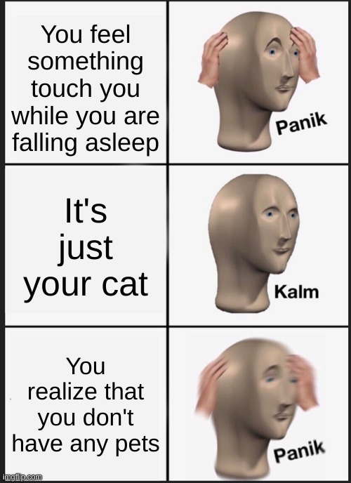 Uh oh | You feel something touch you while you are falling asleep; It's just your cat; You realize that you don't have any pets | image tagged in memes,panik kalm panik,panic | made w/ Imgflip meme maker