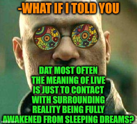 -Process of stepping foot. |  DAT MOST OFTEN THE MEANING OF LIVE IS JUST TO CONTACT WITH SURROUNDING REALITY BEING FULLY AWAKENED FROM SLEEPING DREAMS? -WHAT IF I TOLD YOU | image tagged in acid kicks in morpheus,reality check,the great awakening,eye contact,what if i told you,reality is often dissapointing | made w/ Imgflip meme maker