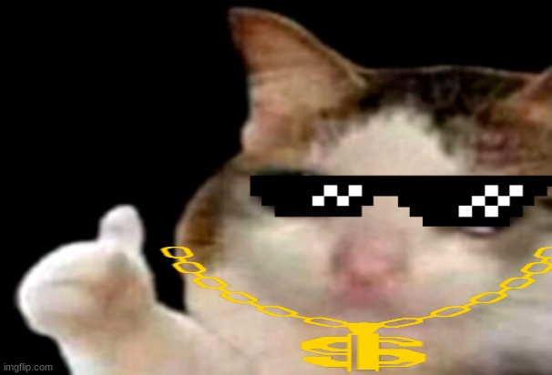 Sad cat thumbs up | image tagged in sad cat thumbs up | made w/ Imgflip meme maker