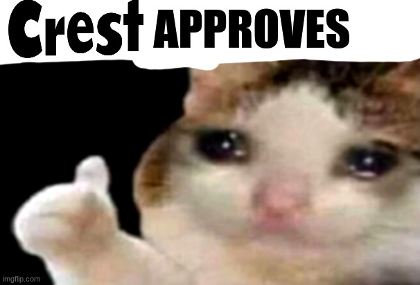 Sad cat thumbs up | APPROVES | image tagged in sad cat thumbs up | made w/ Imgflip meme maker