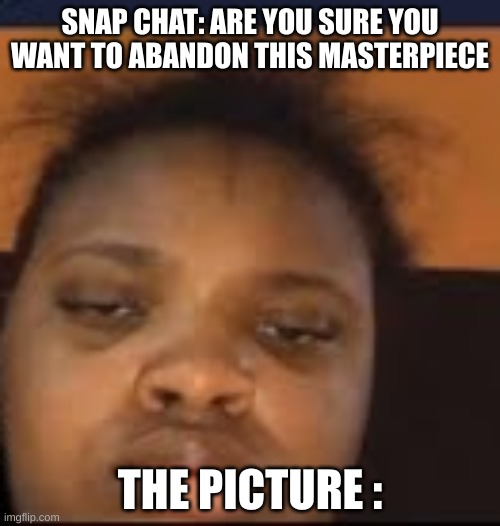 SNAP CHAT: ARE YOU SURE YOU WANT TO ABANDON THIS MASTERPIECE; THE PICTURE : | image tagged in fun | made w/ Imgflip meme maker